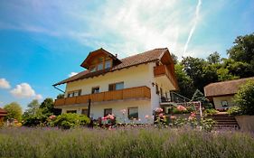 Villa Katarina