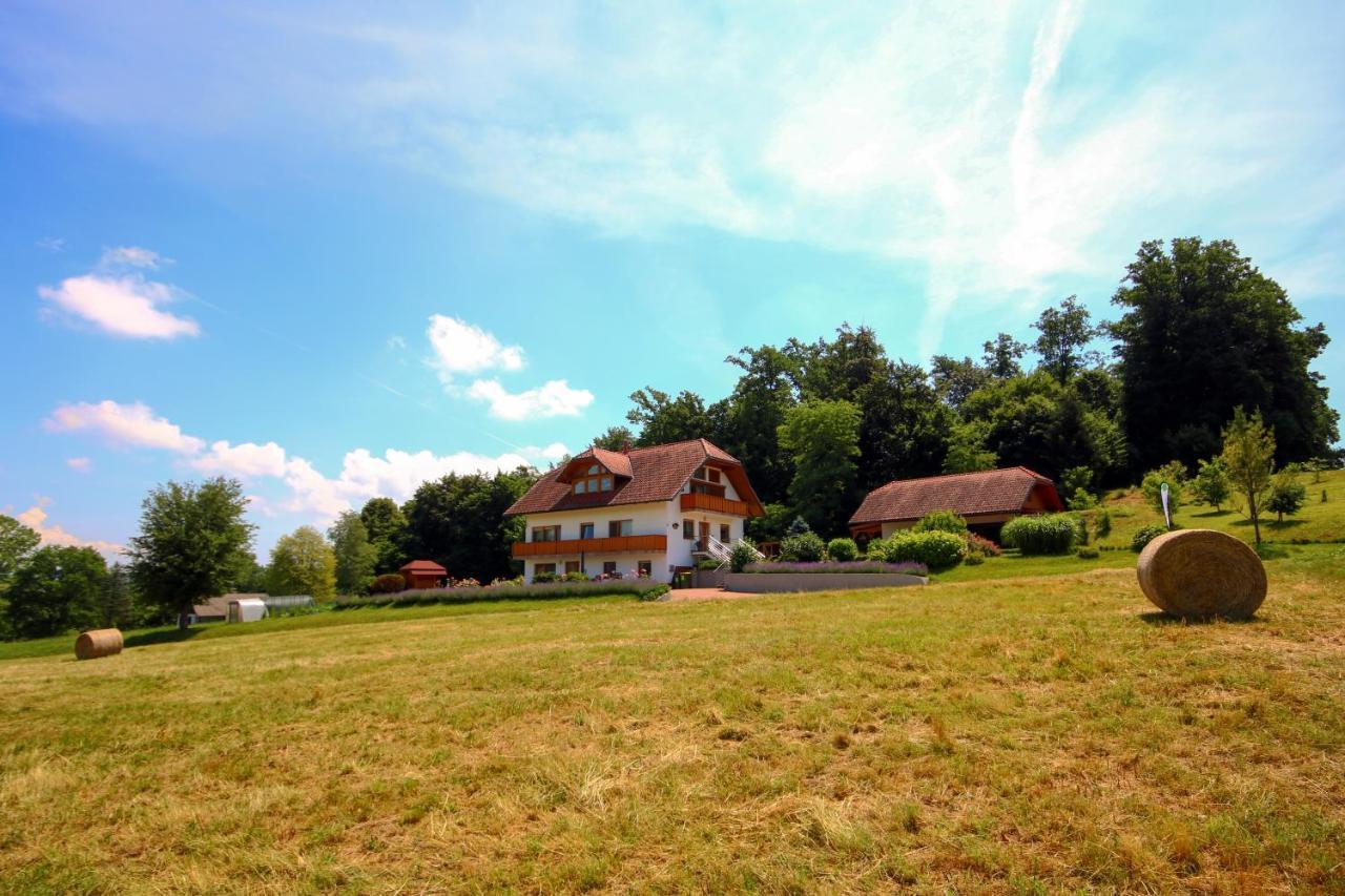 Villa Katarina Mokronog Exterior foto