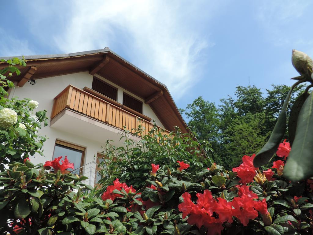 Villa Katarina Mokronog Exterior foto